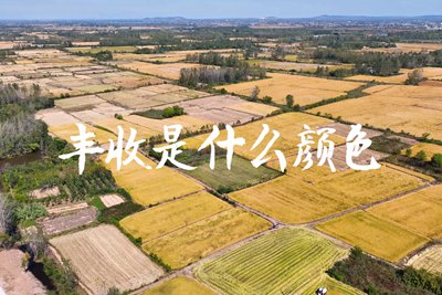 春種一粒粟，秋收萬顆子。多彩的豐收季，只愿五谷豐登，百事興旺3.240_400.jpg